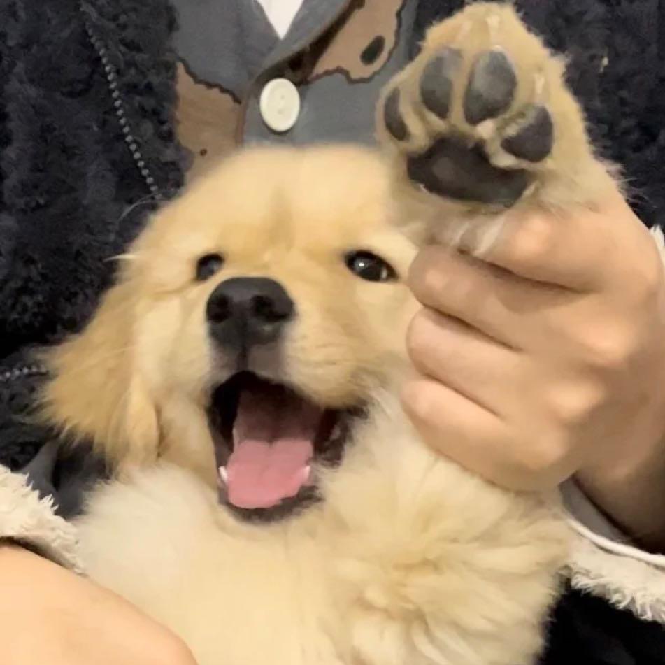 无敌暴龙战士！