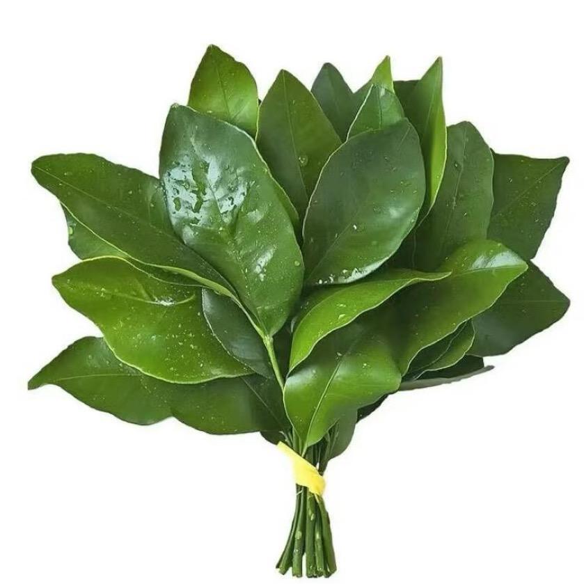 甲如是你 美甲美睫美妆