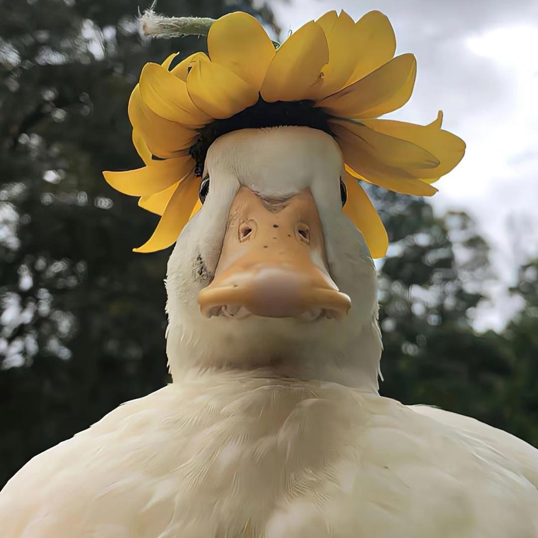 我的钱越花越多
