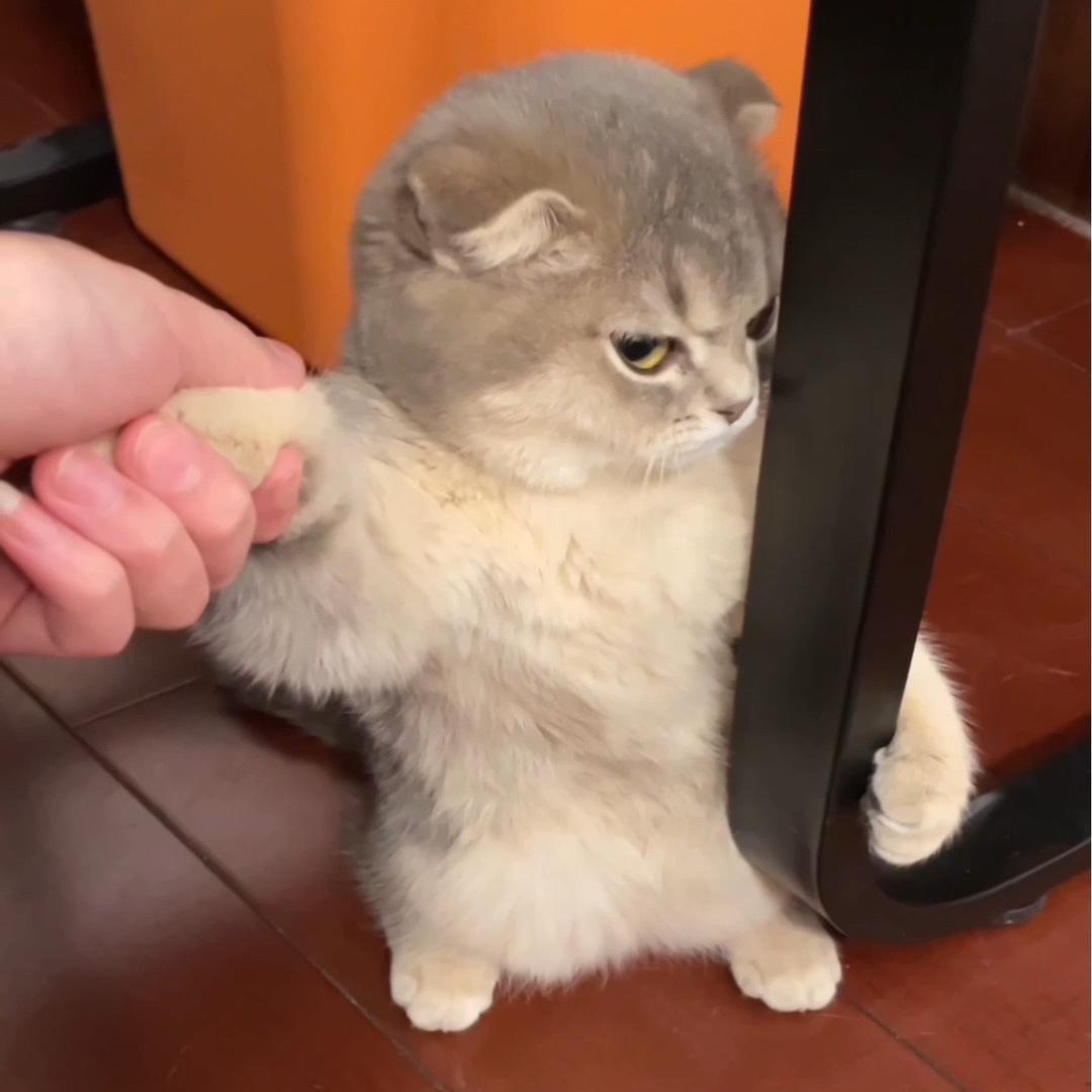 十三^_^