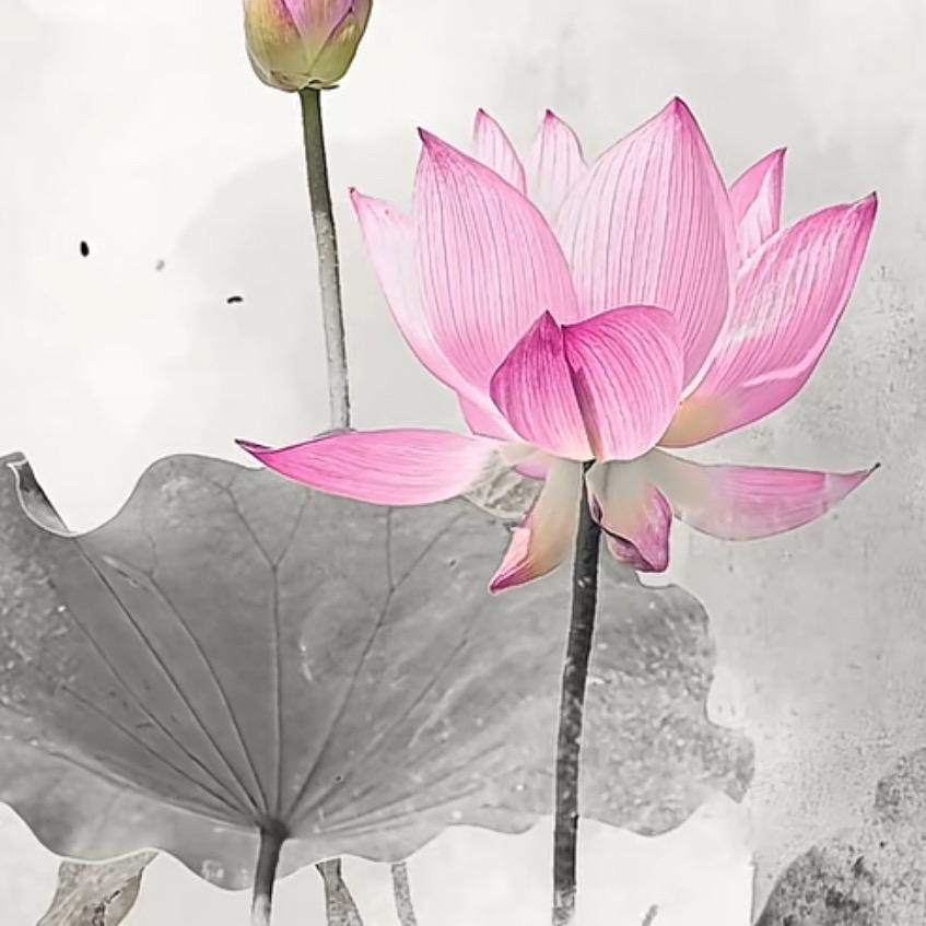~正阳子~