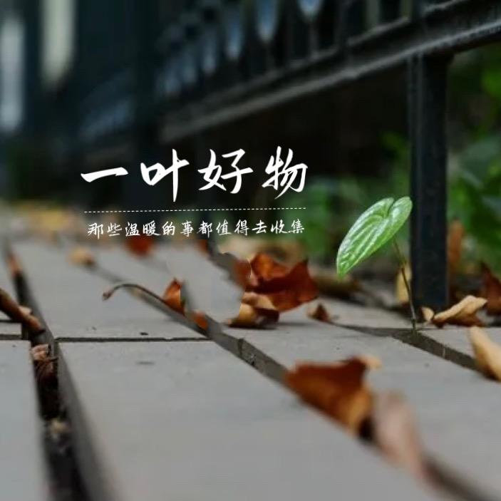 一叶好物