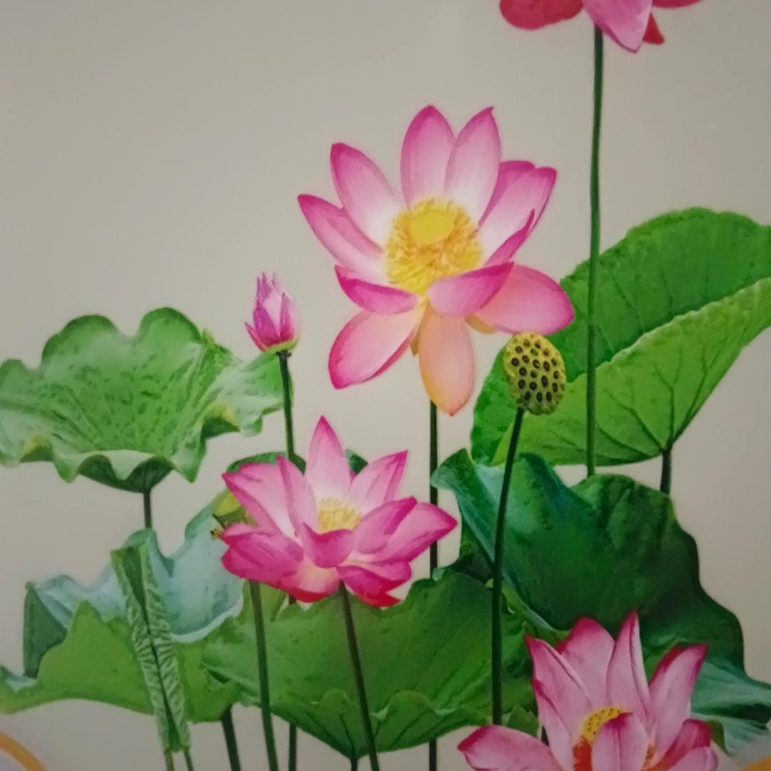 a梦想成真