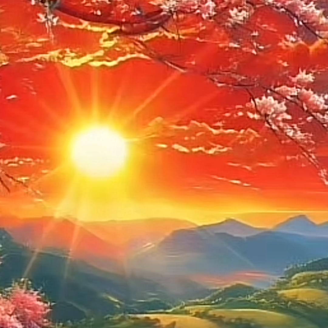 ღᩚ᭄ 阳光☀️微暖
