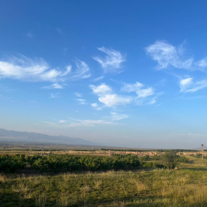 ℳ🥂陈꧉周꧔ꦿ