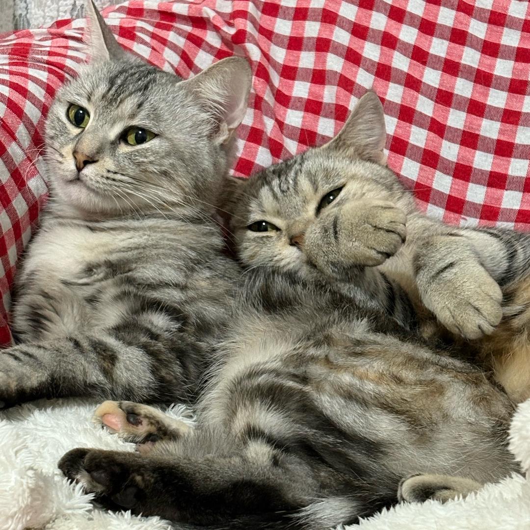 不瘦到90斤不改名🥦