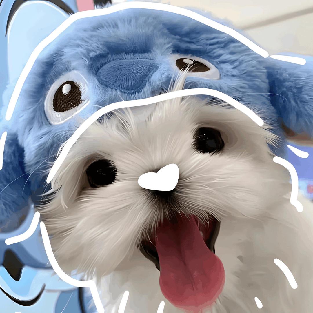 立誓要开家北方带云南蘑菇的火锅店