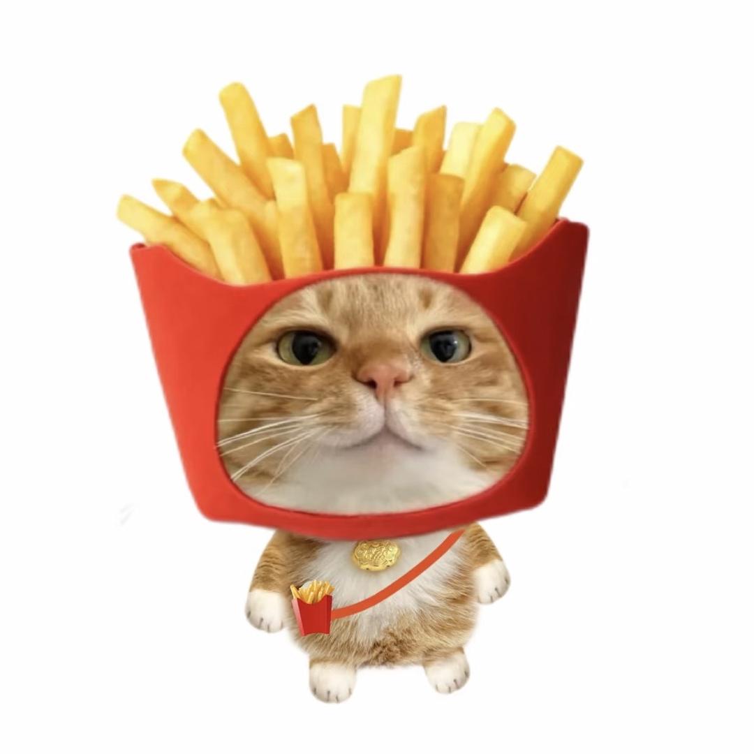 冒冒