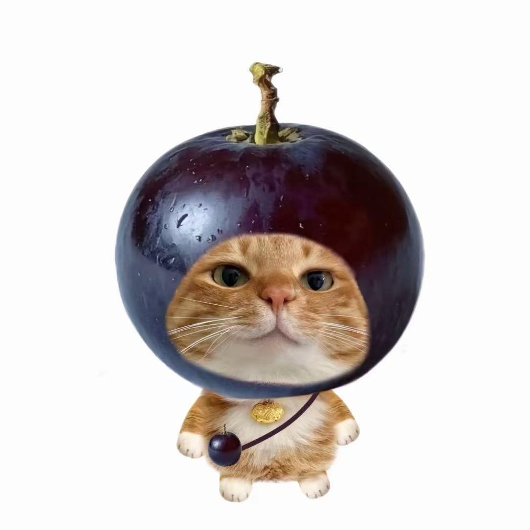 总喜欢欺负我ᐡ•͈ ·̭ •͈ᐡ