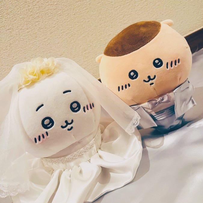 小智飞翻译chiikawa