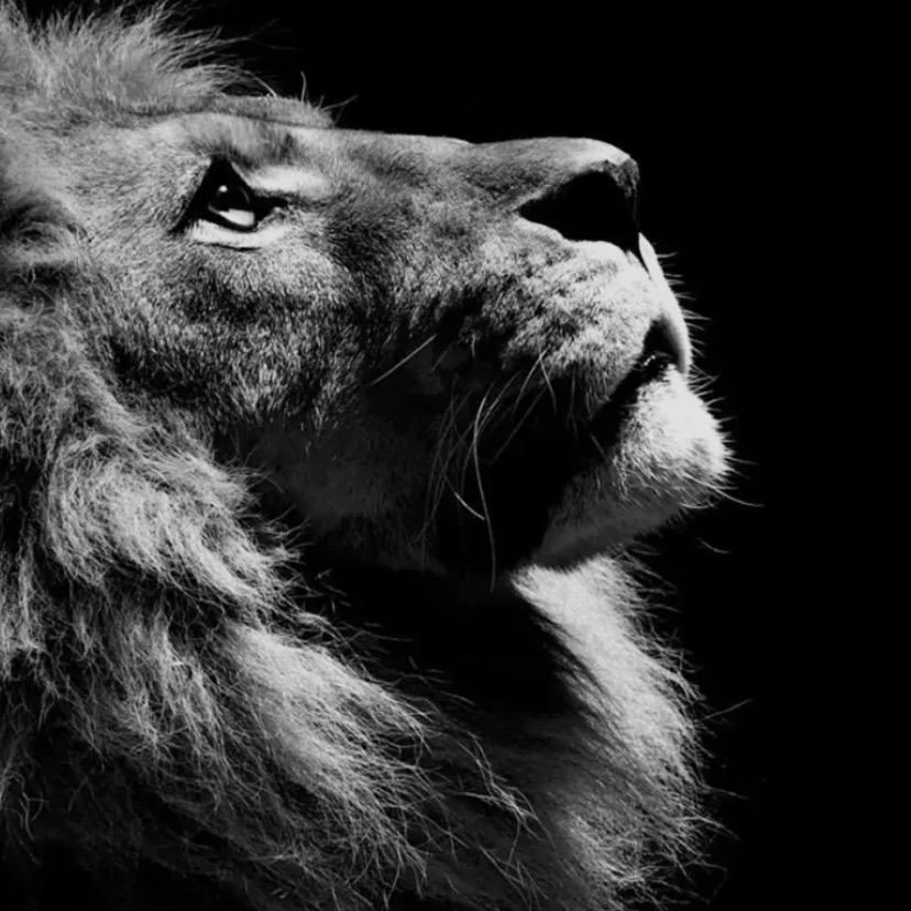 骑上蚂蚁追火车