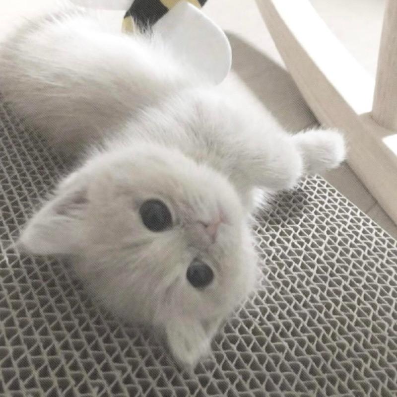 ㅤ  ㅤ不弃
