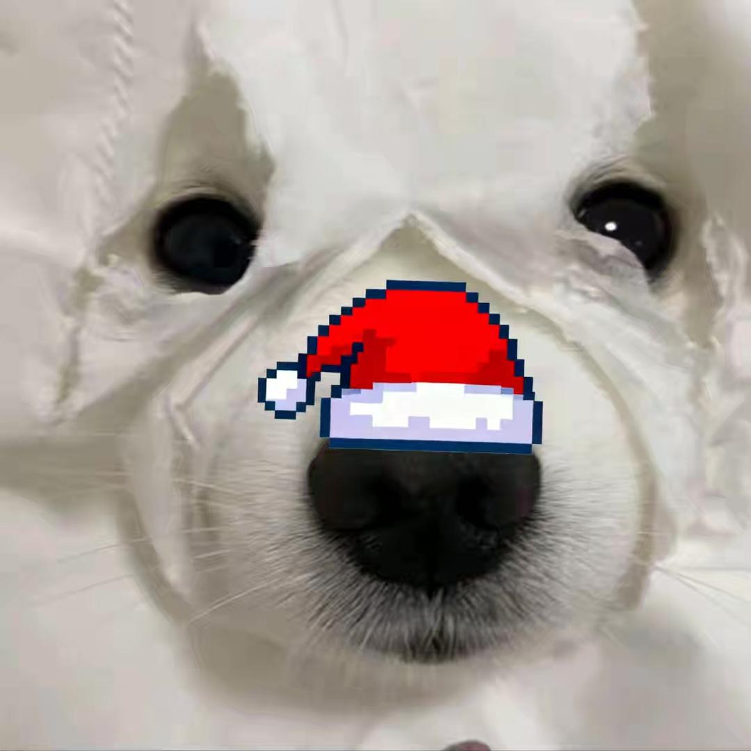 49是萌少！！！🧀