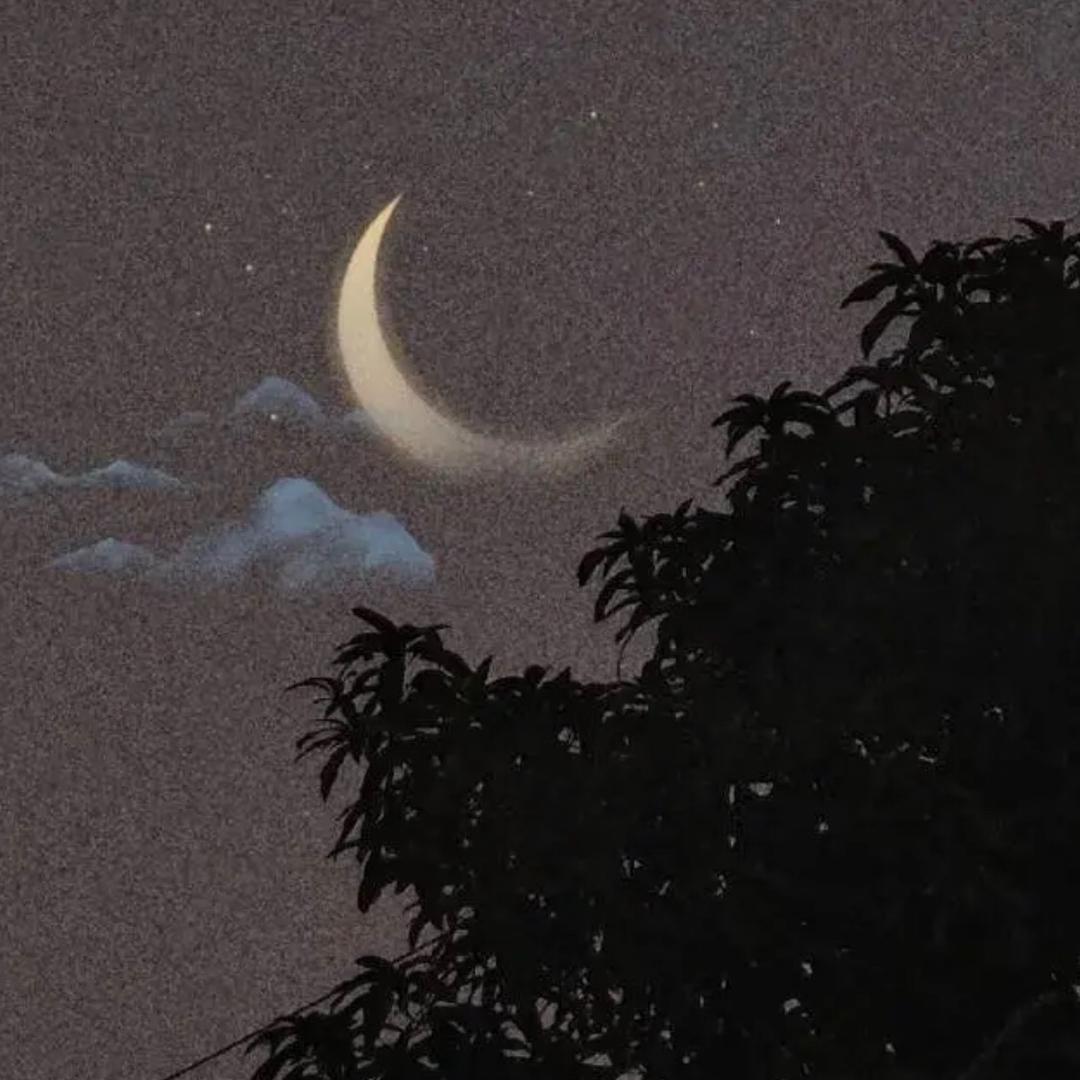 一抹微笑、念残阳