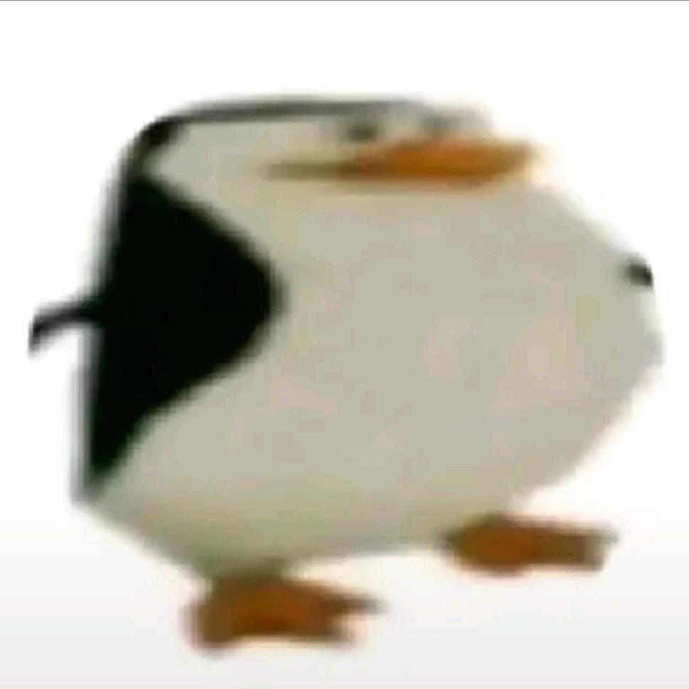 阿莽