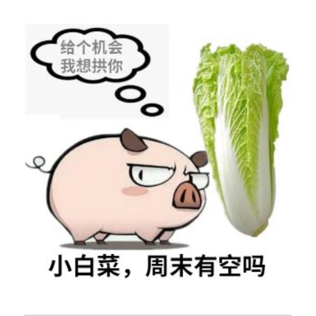 €记ᮨ໌້忆꧔ꦿ