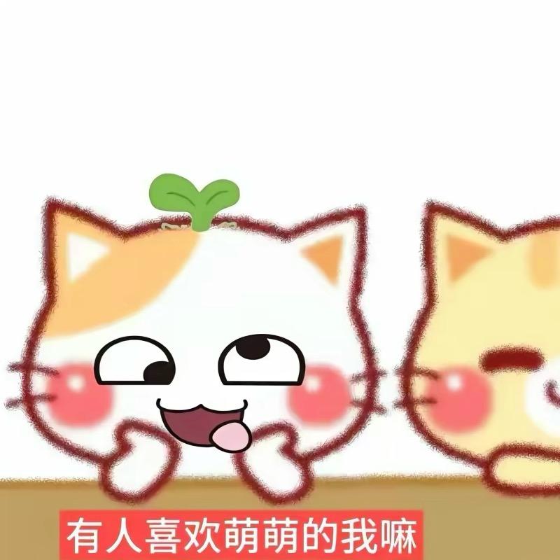 晨
