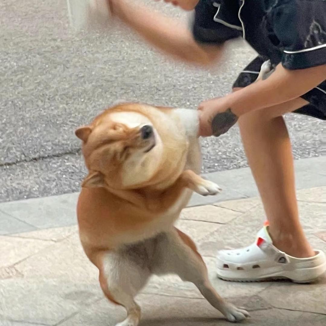 아이스크림