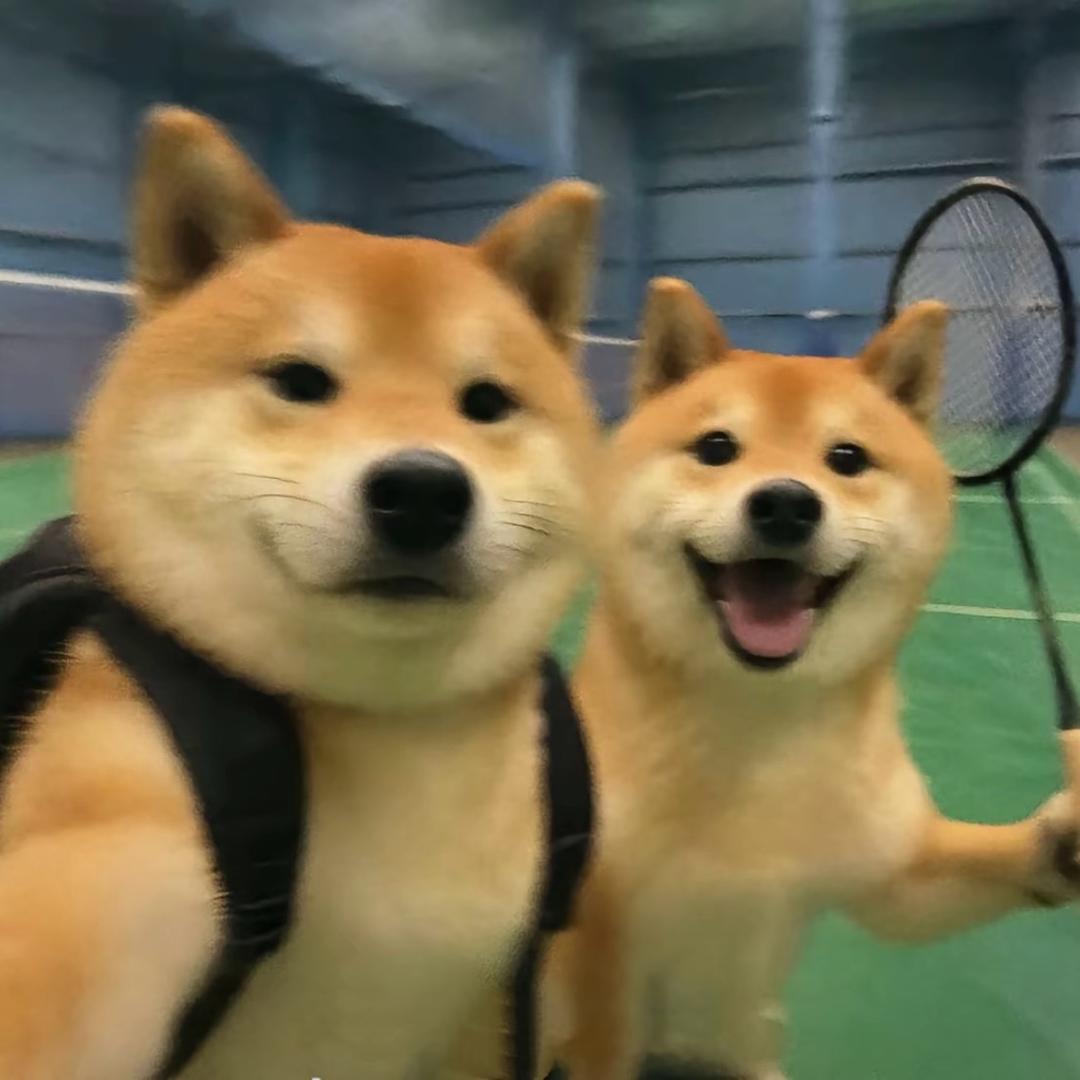 上北下南