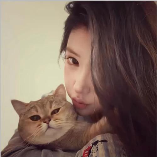 暴躁小甜