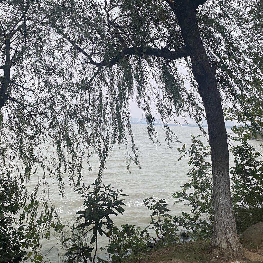 张远本优品小铺