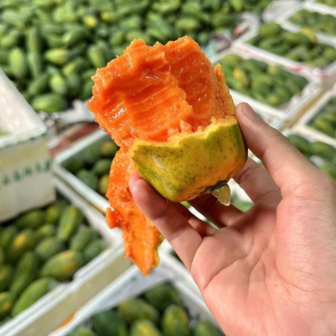 山珍悦鲜果
