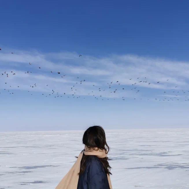 榴莲果