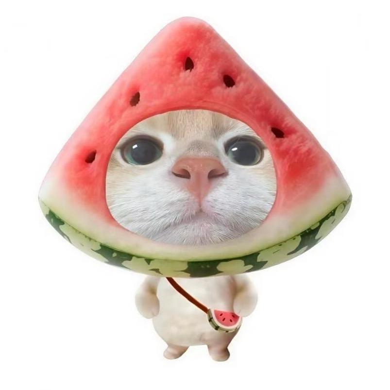 神经兮兮~~