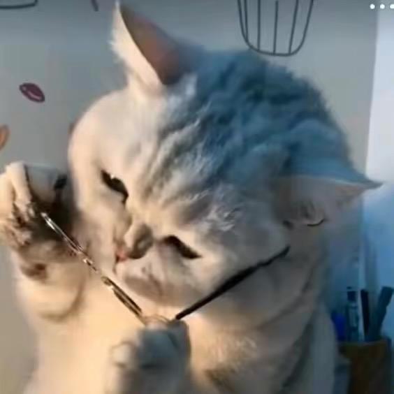 秋夕