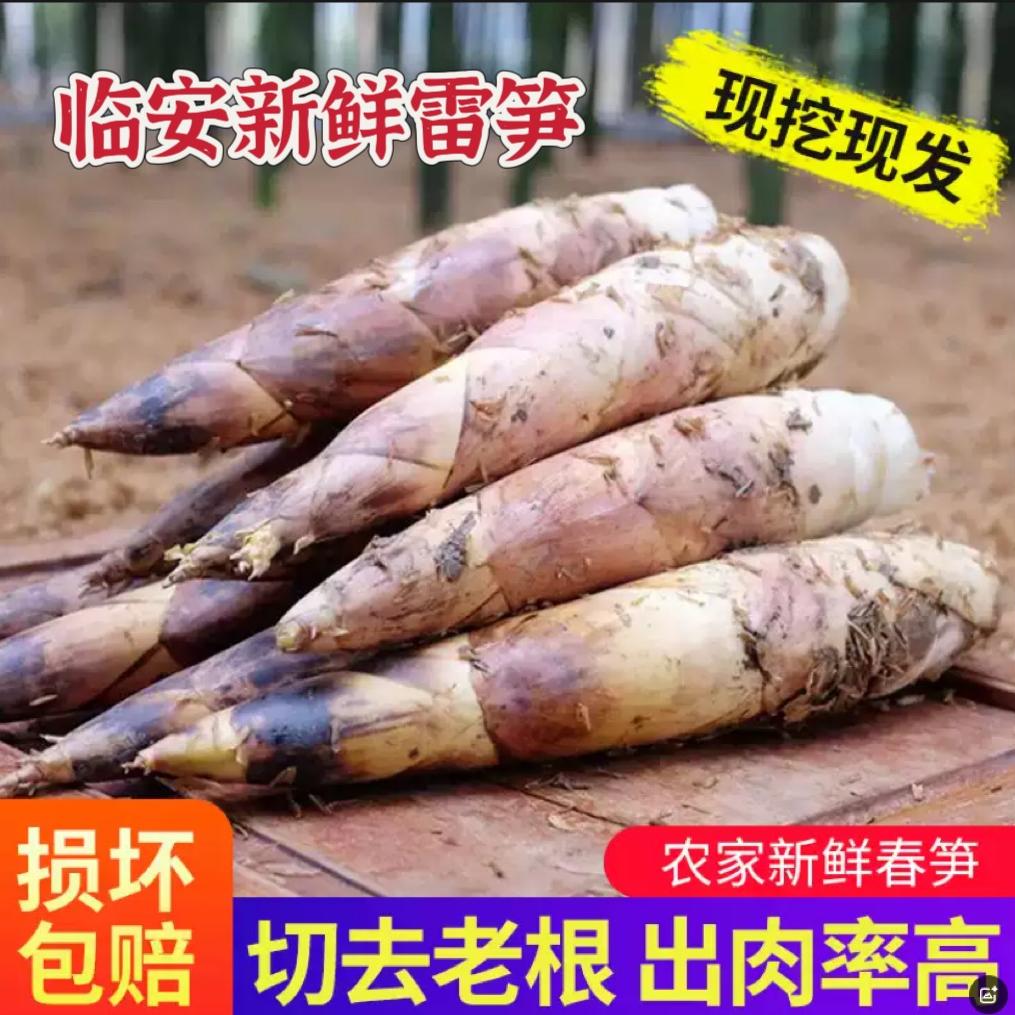 小宇宙家特产