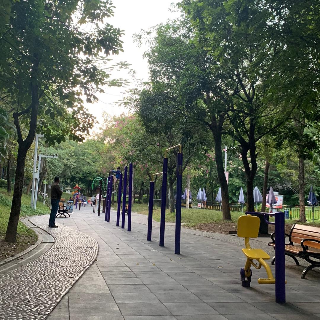阿妹的日常