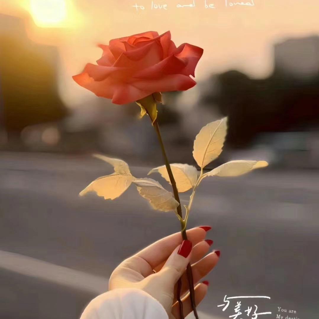 唯愿余生，岁月无恙