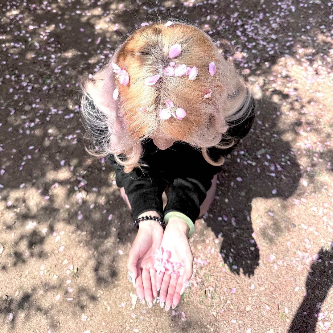 APRIL⋆𐙚₊˚