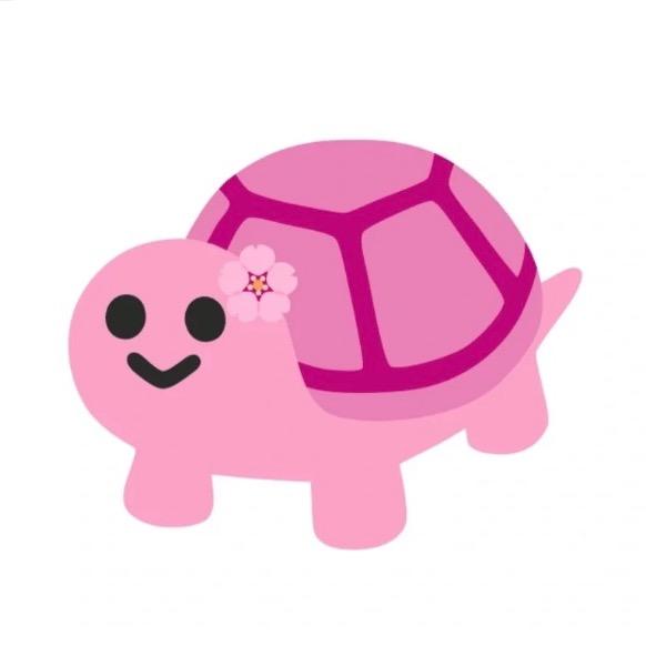 小新.🐢