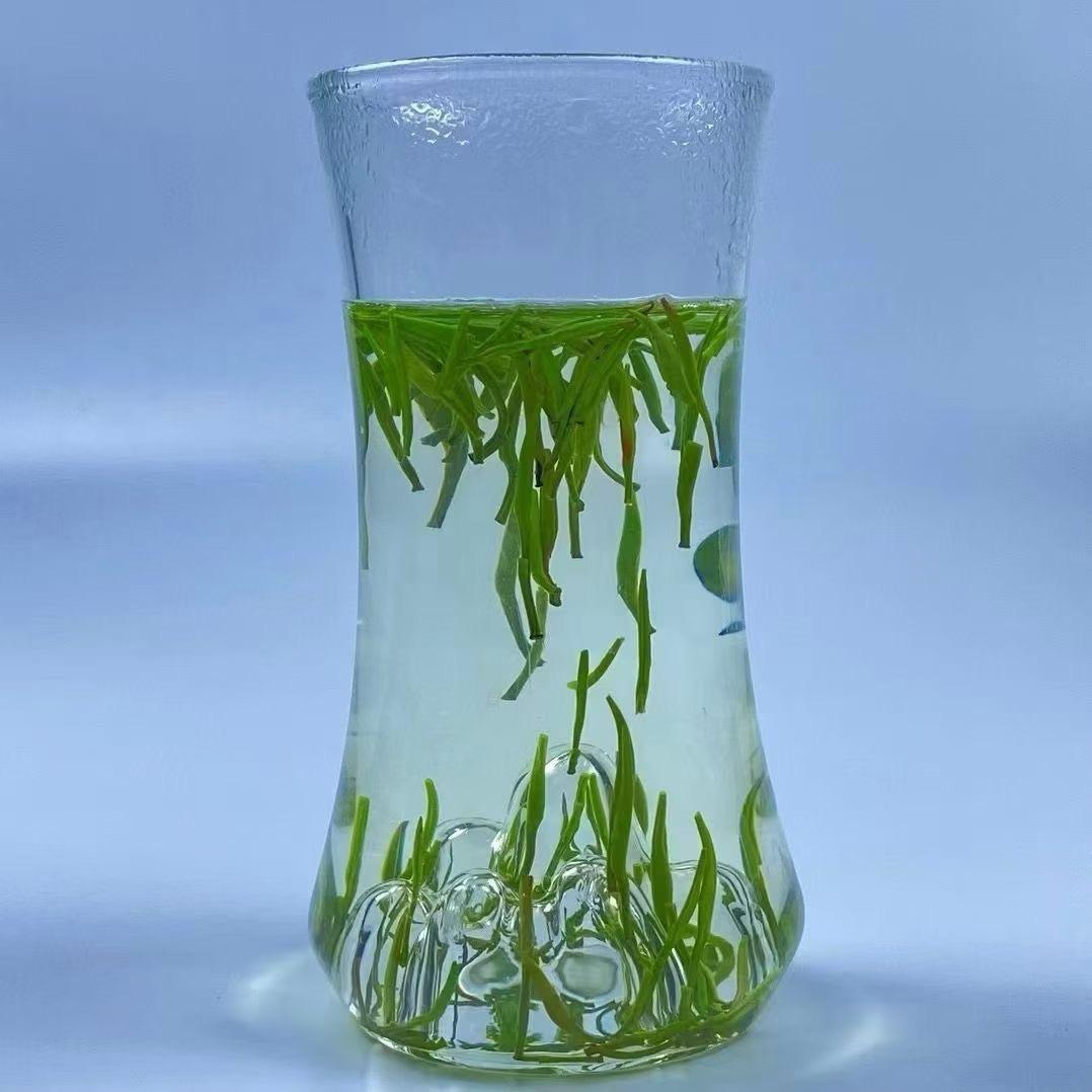 黔茶茶（孕中期）