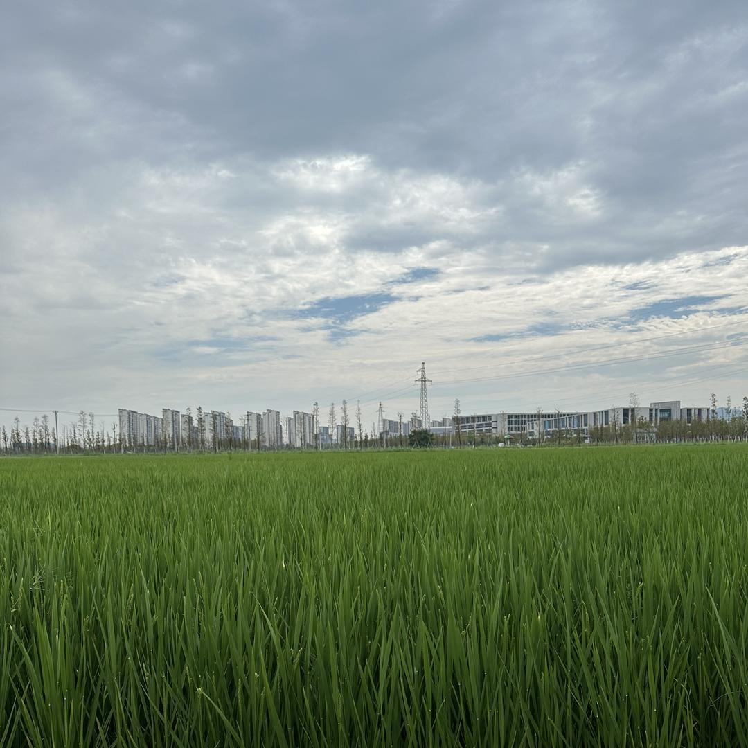 苏州嗨森农场