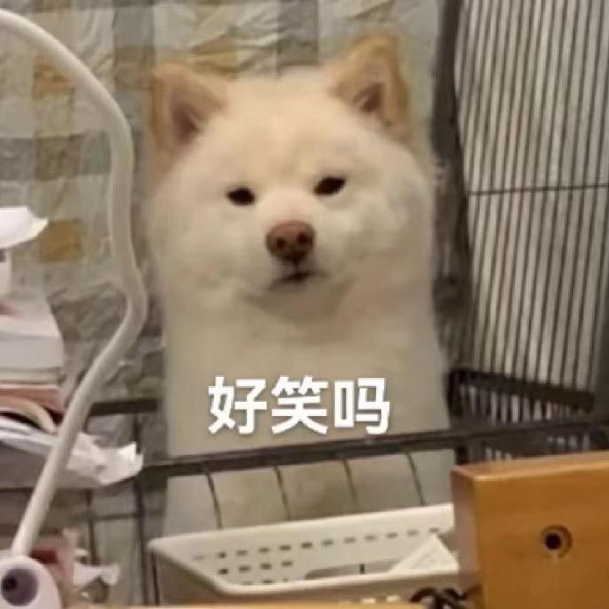 张张自喜🍙ིྀ