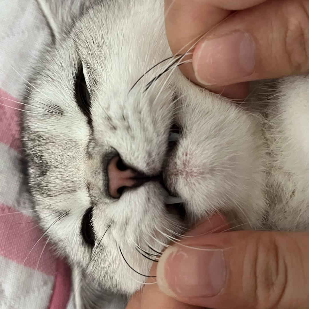 林涵