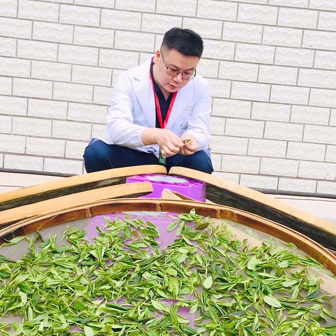 家干与茶