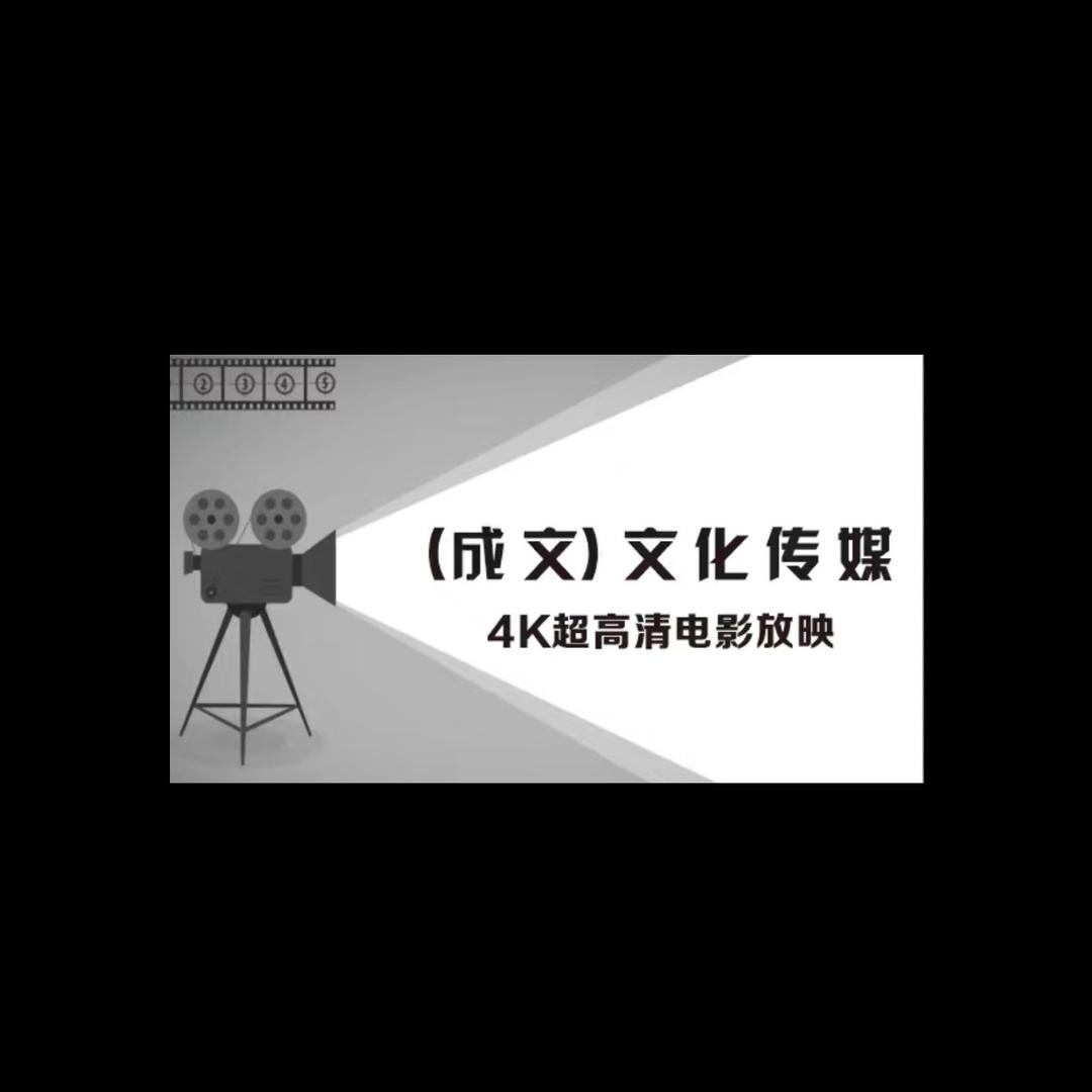 （成文）文化传媒