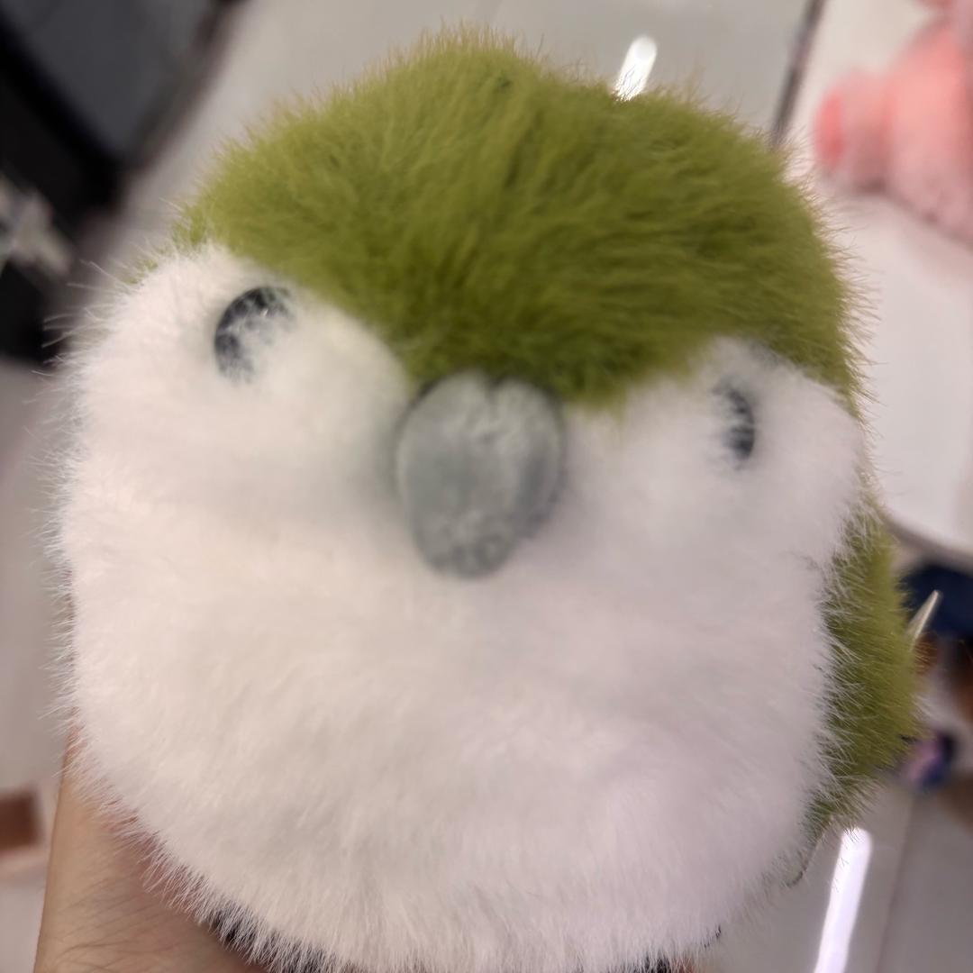 二奥三茜