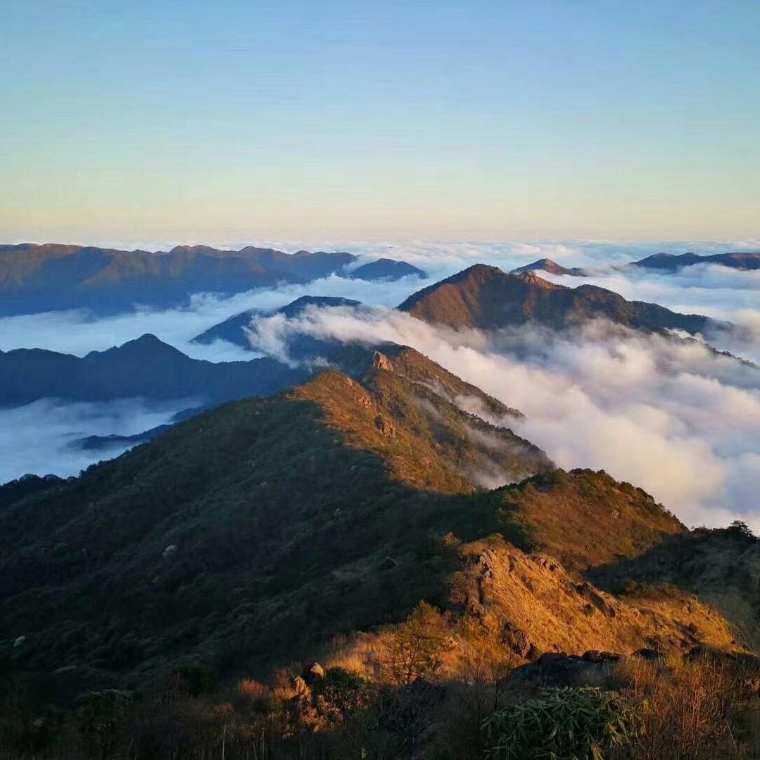 保时捷行政加长