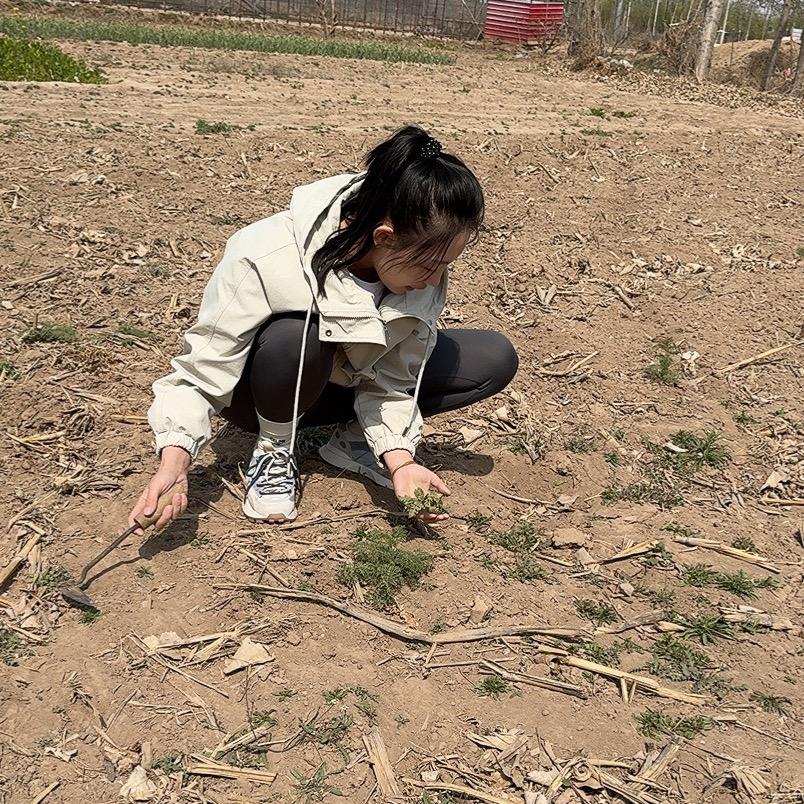 红红（家有三宝）