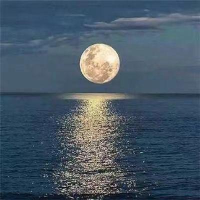 ST 霜 天 8888 818 8888