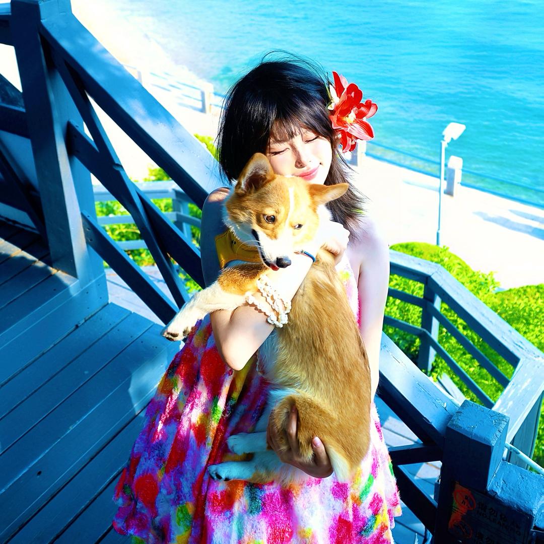 荔枝味张小草🌿