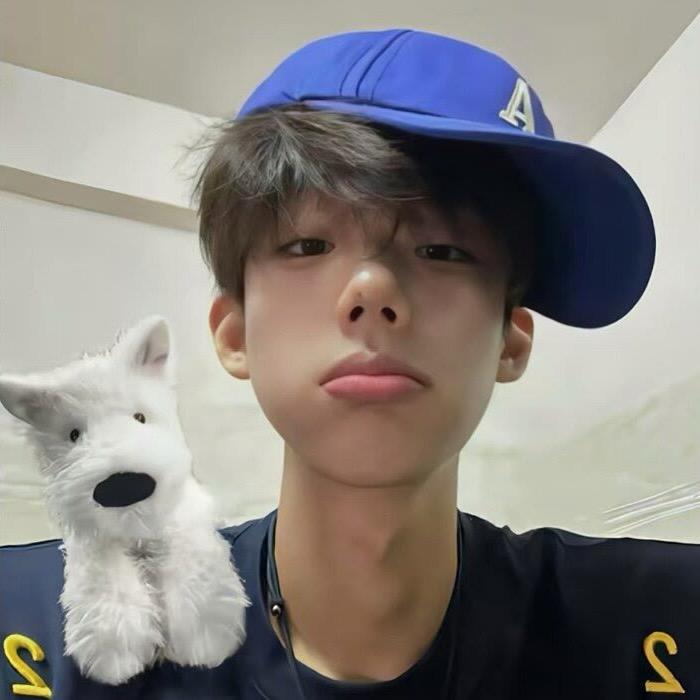 Liu Jie