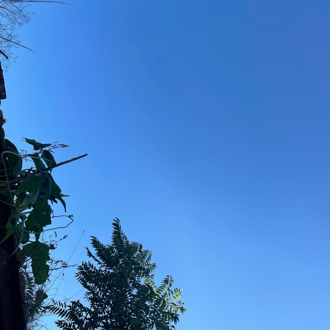 静怡修身
