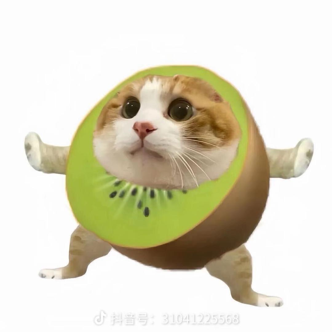 兜宝