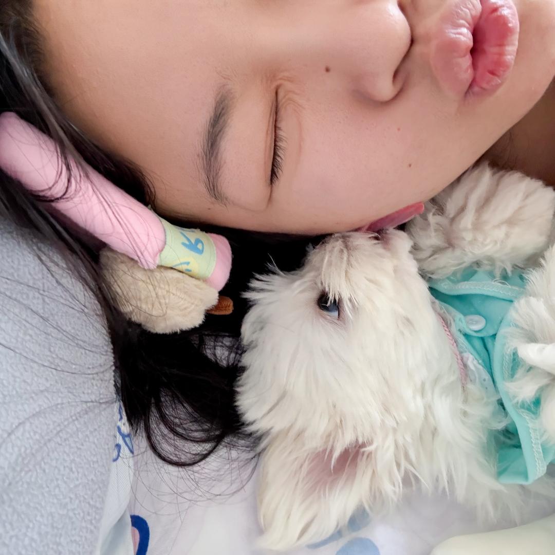 奶糖不吃巧克力