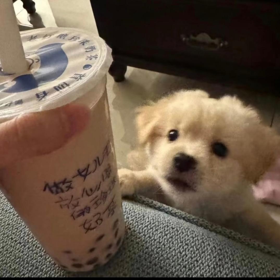给狗子来杯奶茶吧